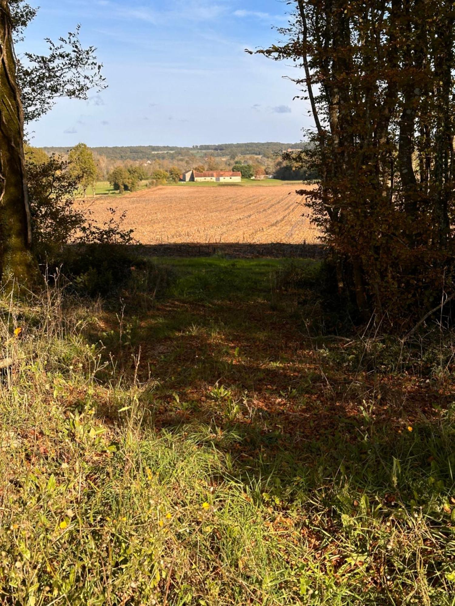 The Charming Private Farmhouse At La Grenouillere Puyreaux المظهر الخارجي الصورة